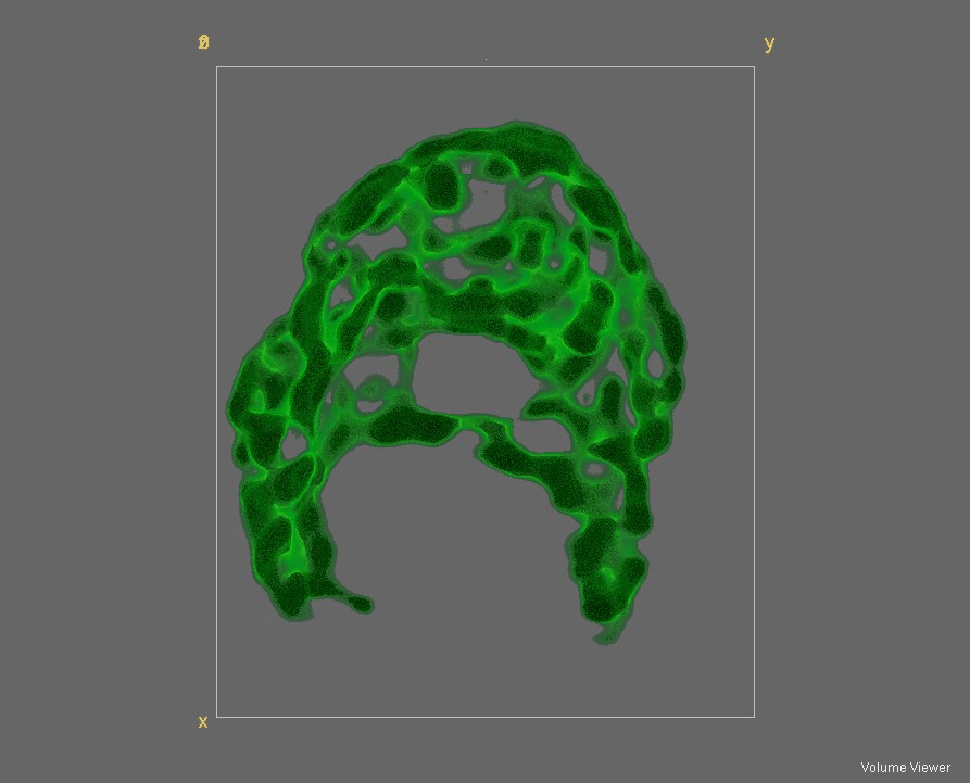 3D reconstruction rotating of C. reinhardtii in vivo